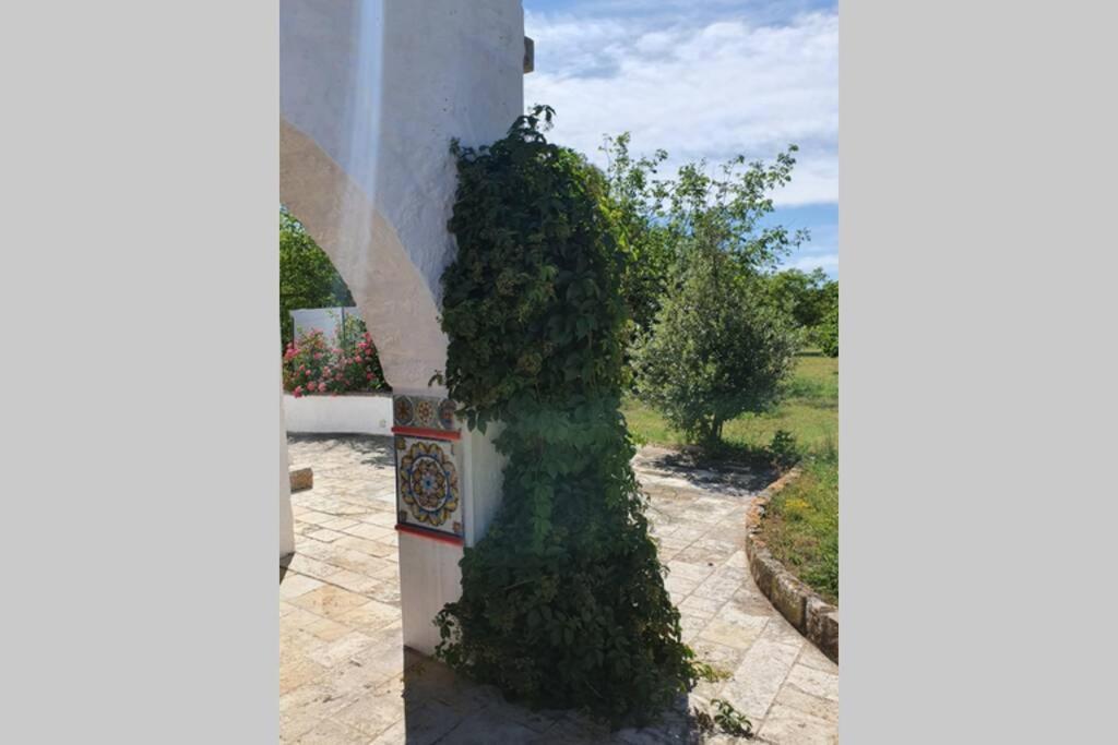 Villa Trulli Relax a Martina Franca Esterno foto